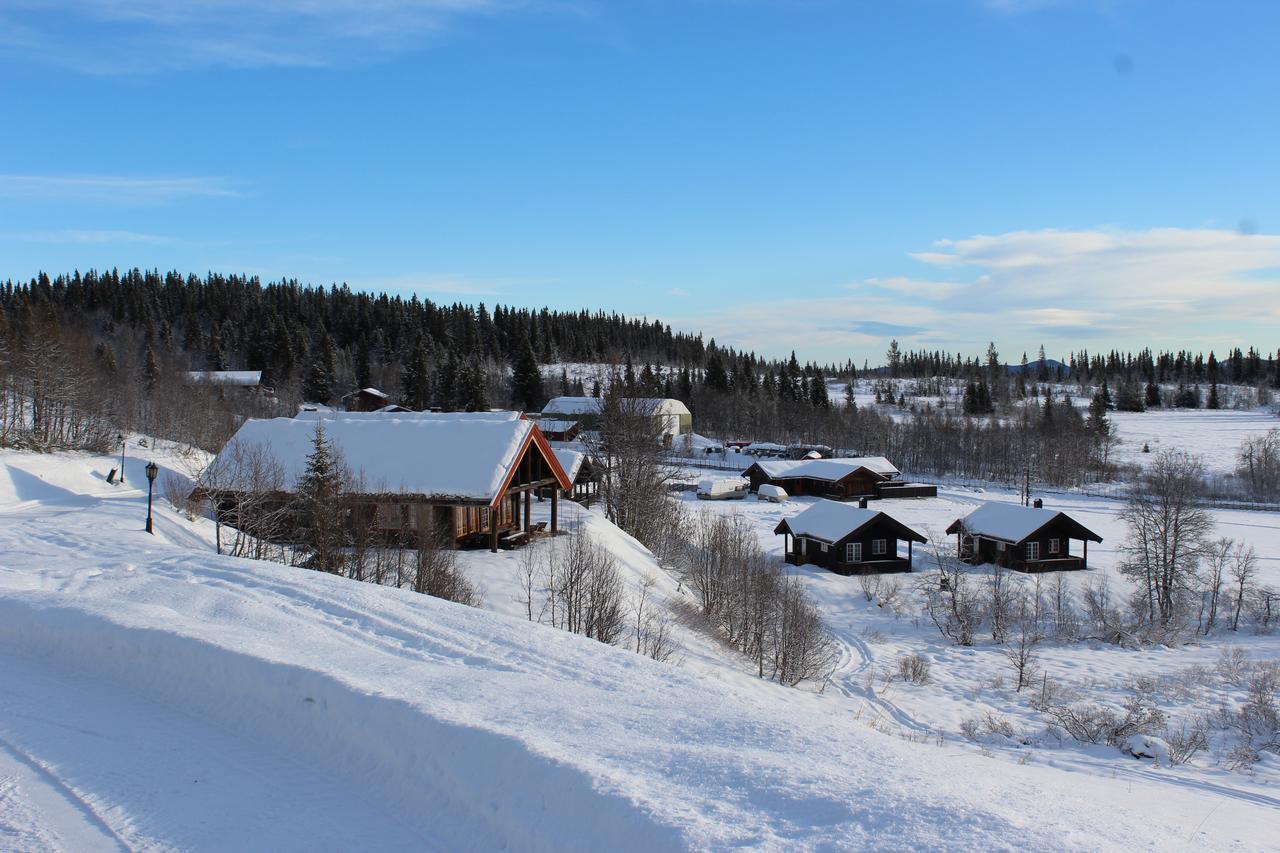 EtnedalGamlestolen Fjellstue别墅 外观 照片