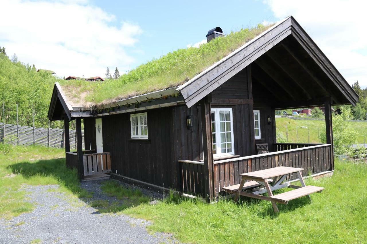 EtnedalGamlestolen Fjellstue别墅 外观 照片