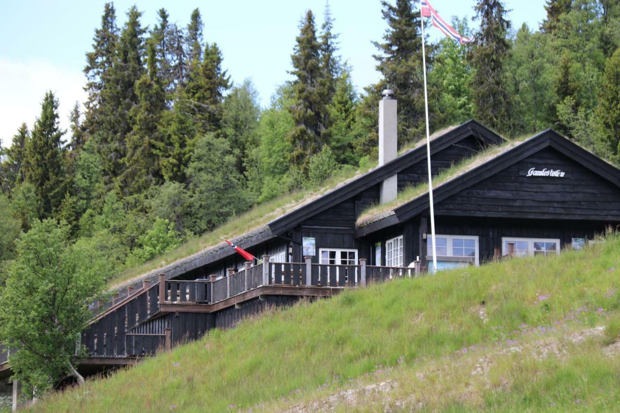 EtnedalGamlestolen Fjellstue别墅 外观 照片