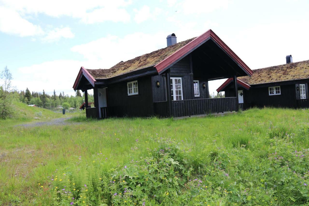 EtnedalGamlestolen Fjellstue别墅 外观 照片
