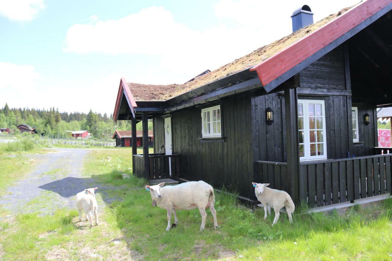 EtnedalGamlestolen Fjellstue别墅 外观 照片
